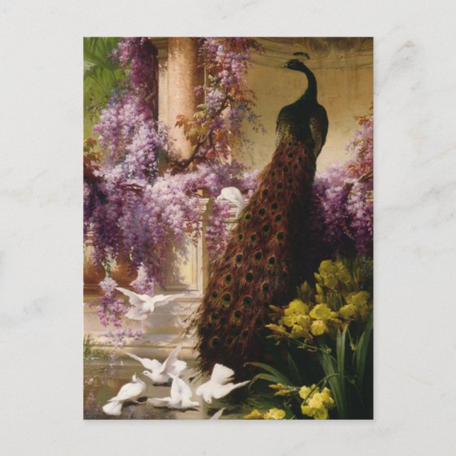 A Peacock and Doves in a Garden Print Postcard (Front)