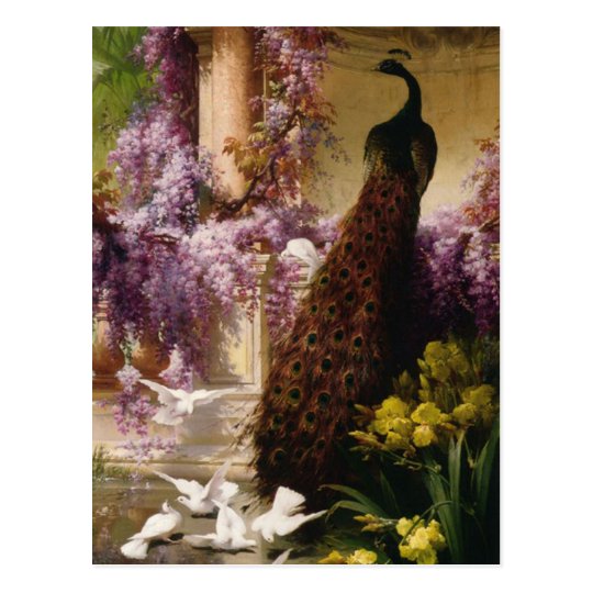 A Peacock and Doves in a Garden Print Postcard