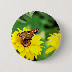 A peacock butterfly - Button