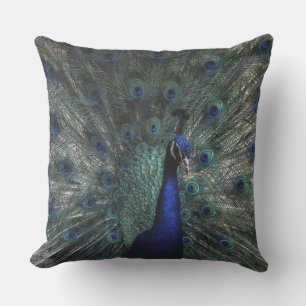 A Peacocks Beautiful Opened Feathers  Outdoor Pillow