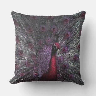 A Peacocks Beautiful Opened Feathers Outdoor Pillow