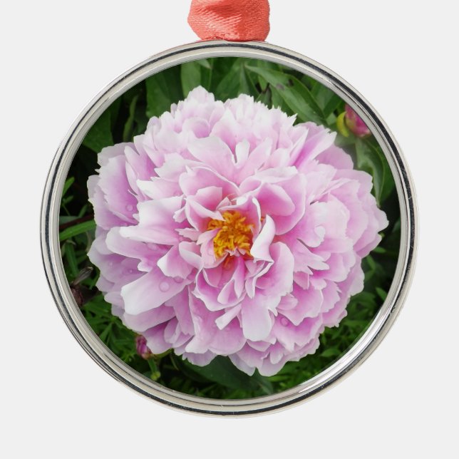A Peony with Raindrops Metal Ornament (Front)