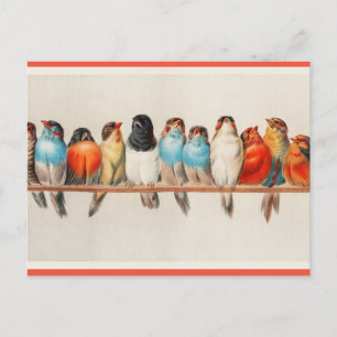 A Perch of Birds Postcard