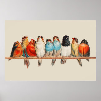 A Perch of Birds Poster 