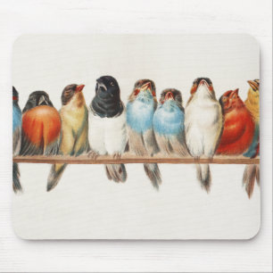 A Perch of Birds Vintage Finch Illustration, 1880 Mouse Pad