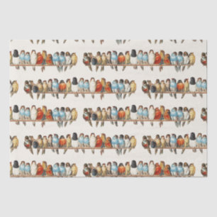 A Perch of Birds Vintage Finch Illustration, 1880 Tissue Paper