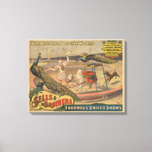 A Performing Zebu And Peacock With Clown Trainer Canvas Print