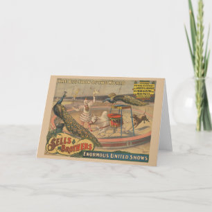 A Performing Zebu And Peacock With Clown Trainer Card