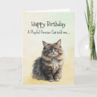 A Persian Cat Personality Birthday Fun Animal