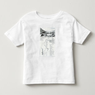 A Perspective View of Lake George Toddler T-shirt