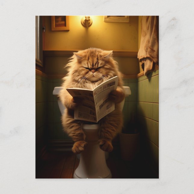 A Philosopher's Sanctuary | The Daily Digest Postcard (Front)