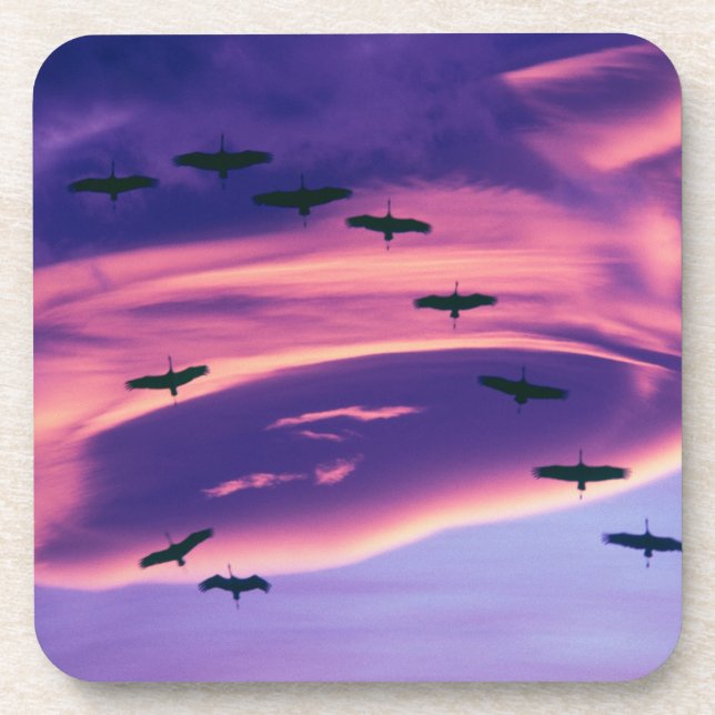 A photo composite of Sandhill cranes in flight Coaster (Front)