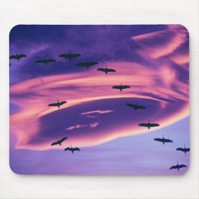 A photo composite of Sandhill cranes in flight Mouse Pad (Front)