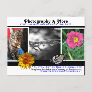A* Photography & More Business Card Postcard