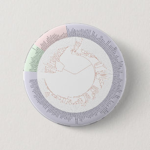 A phylogenetic tree of life Chart 2 Inch Round Button