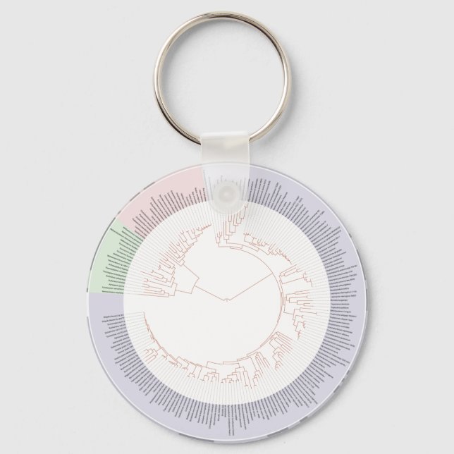 A phylogenetic tree of life Chart Keychain (Front)