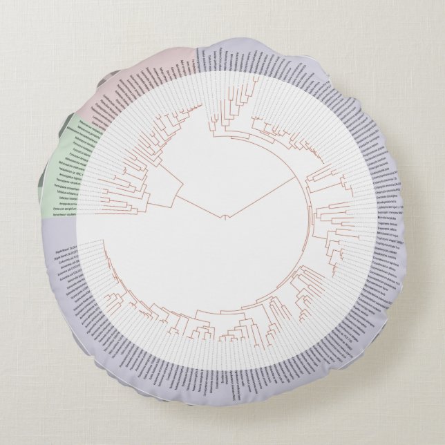 A phylogenetic tree of life Chart Round Pillow (Back)