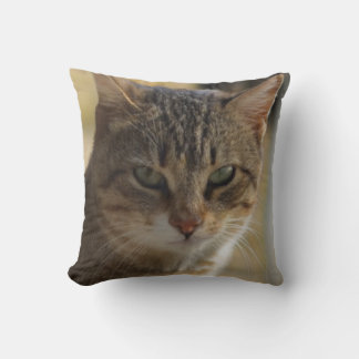 A picture of a serious cat's face in a warm colour throw pillow