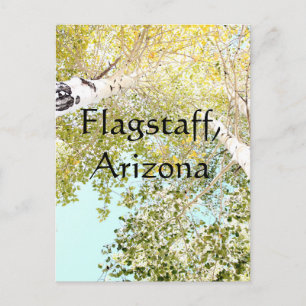 A piece of the sky, Flagstaff, Arizona Postcard