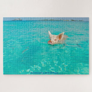 A Pig goes Swimming in the Bahamas. Jigsaw Puzzle