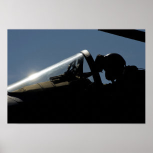 A pilot prepares for take-off poster