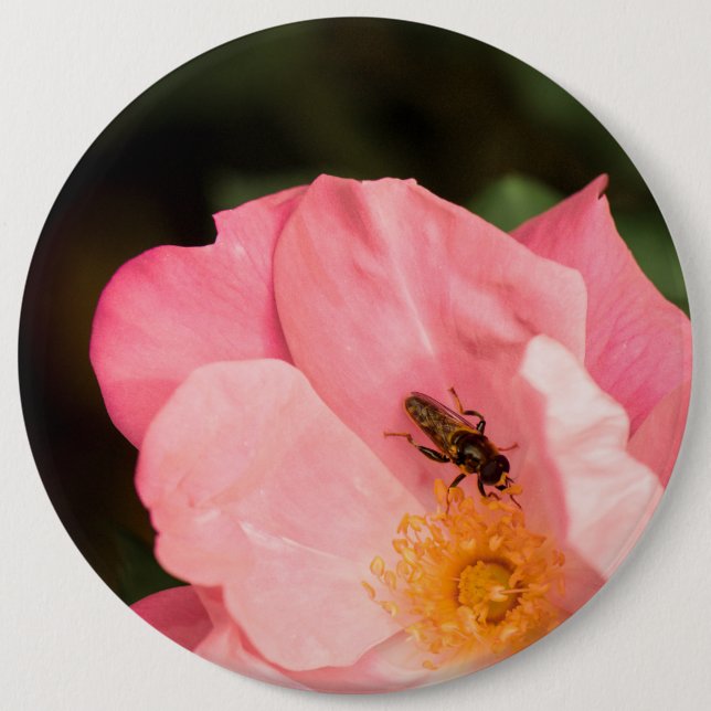 A pink rose flower and the fly insect 6 inch round button (Front)