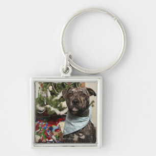 A pit bull posing for a Christmas portrait. Keychain