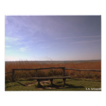 A Place for Peace by E.A. Schneider