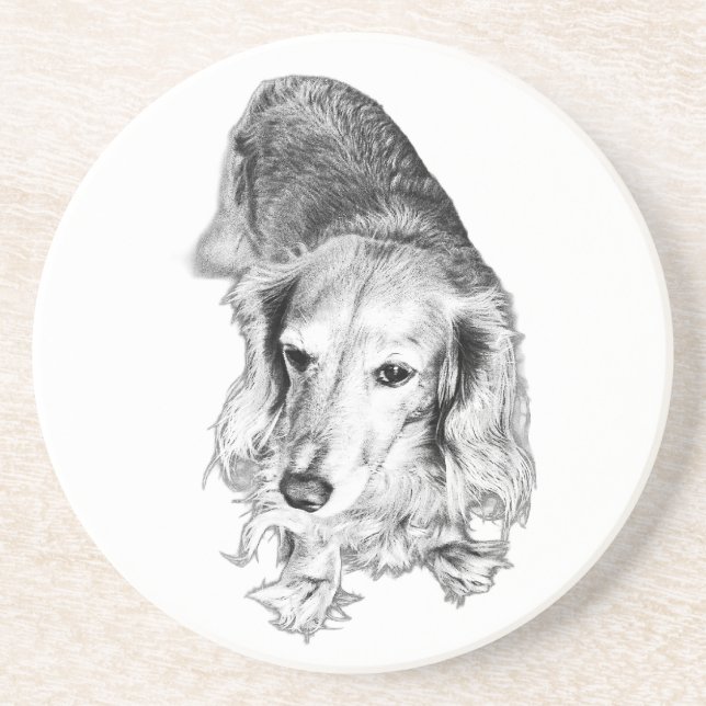 A Place to Pause – Long-Haired Dachshund Coaster (Front)