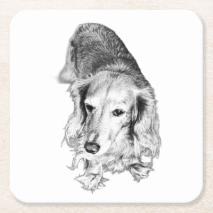 A Place to Pause – Long-Haired Dachshund Square Paper Coaster
