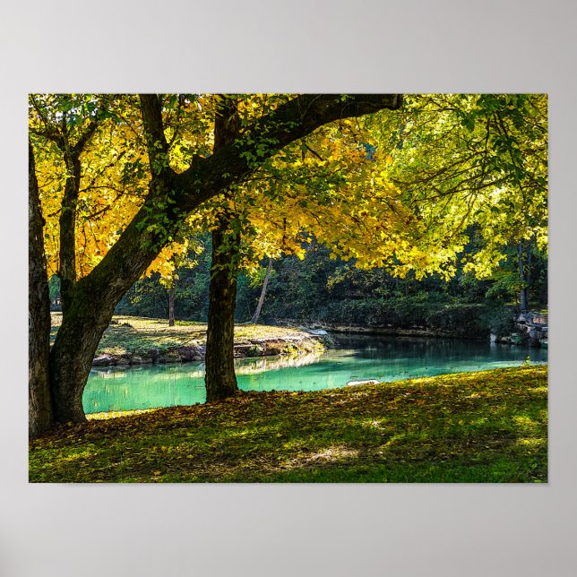 A Place Under The Shade Tree Poster (Front)