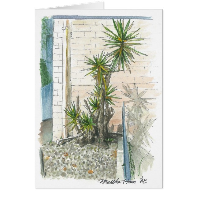 a plant in a corner (Front)