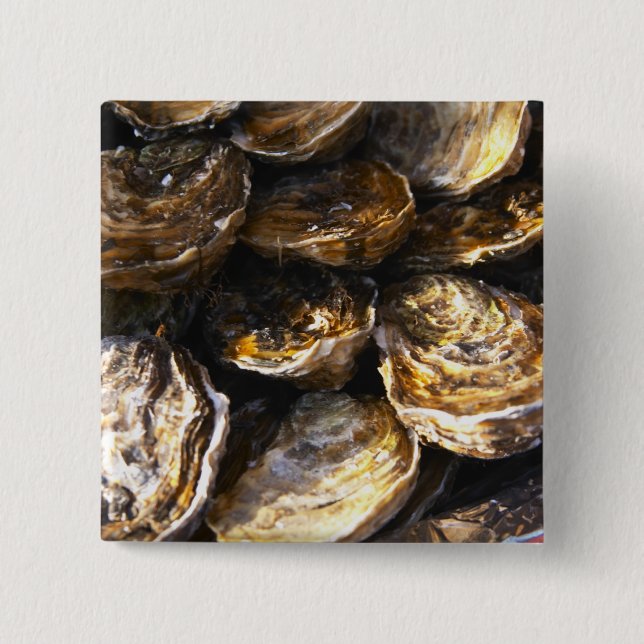 A plate of oysters. 2 inch square button (Front)