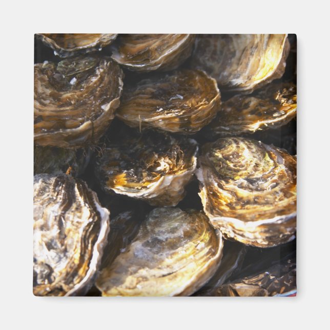 A plate of oysters. magnet (Front)