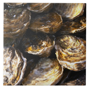 A plate of oysters. tile