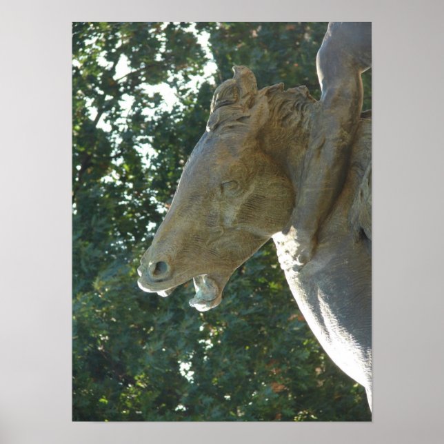 A Plaza Fountain Horse Poster (Front)