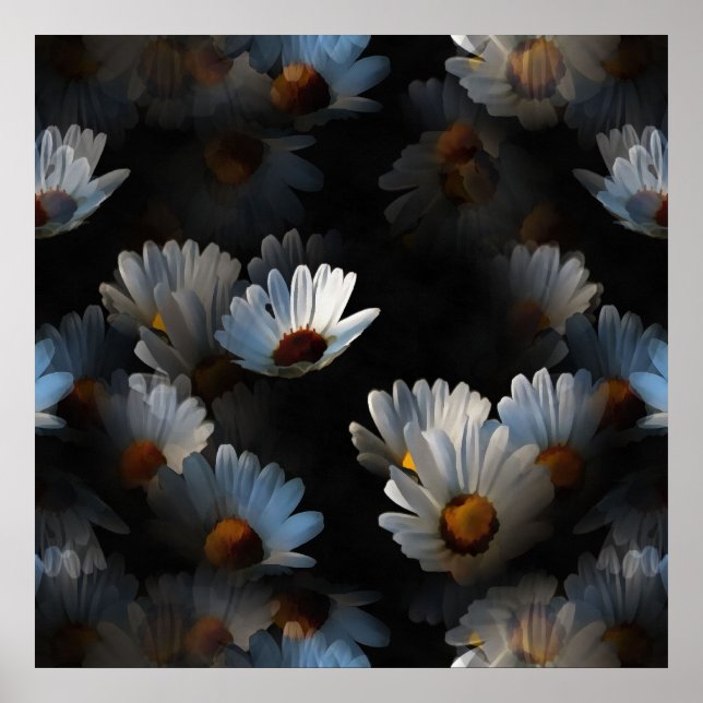 A Plethora Of Floating Daisies Isolated On Black Poster (Front)