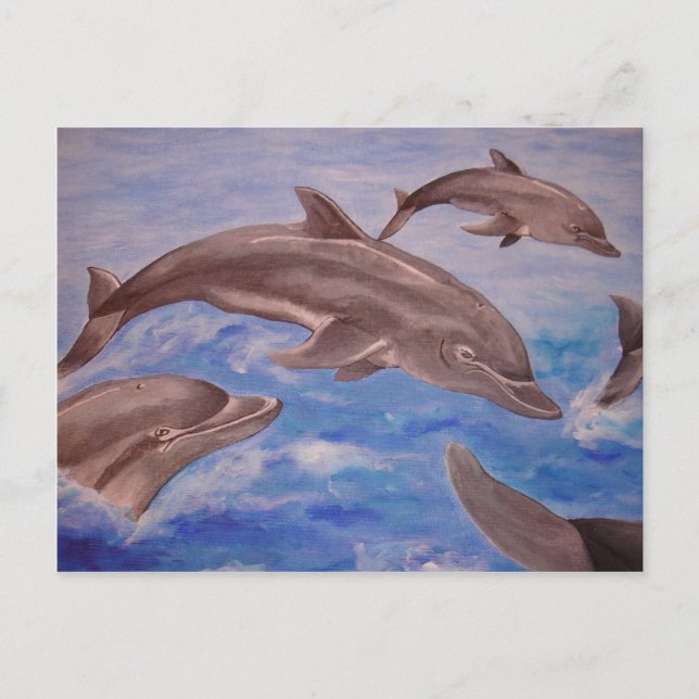 A Pod of Playful Jumping Dolphins Postcard (Front)