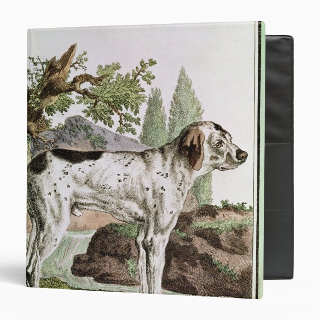 A Pointer, illustration from 'Histoire Binder (Front/Inside)