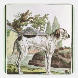 A Pointer, illustration from 'Histoire Square Sticker