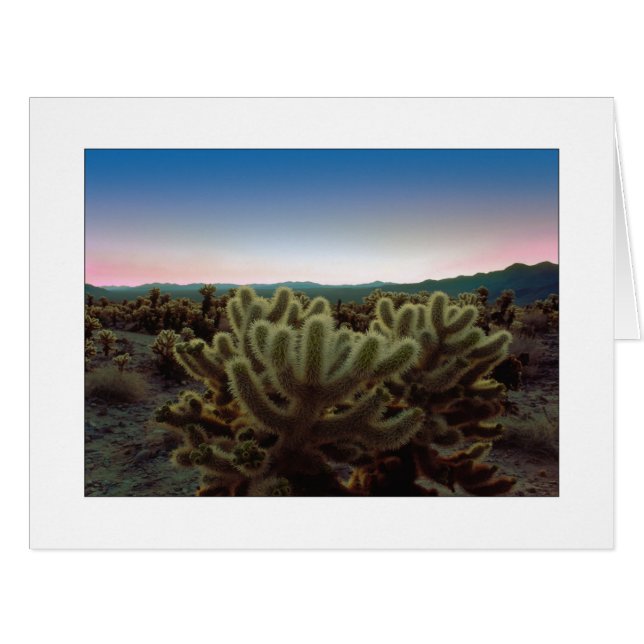 "A Pointy View" (Front Horizontal)