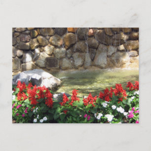 A Pond with Red Flowers Postcard