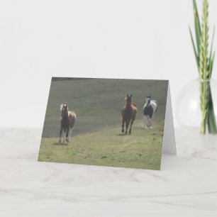 A Pony and Two Horses Card