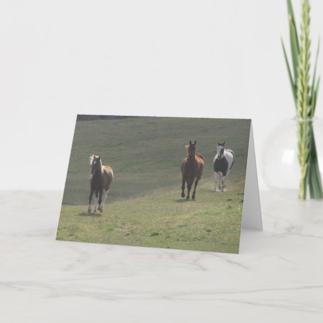 A Pony and Two Horses Card (Front)