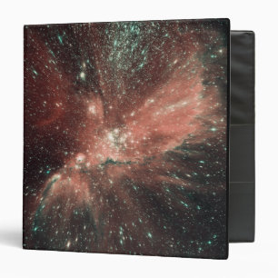 A population of infant stars in the Milky Way Binder