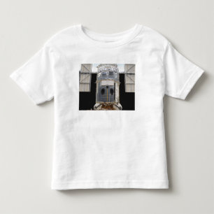 A portion of the Hubble Space Telescope Toddler T-shirt
