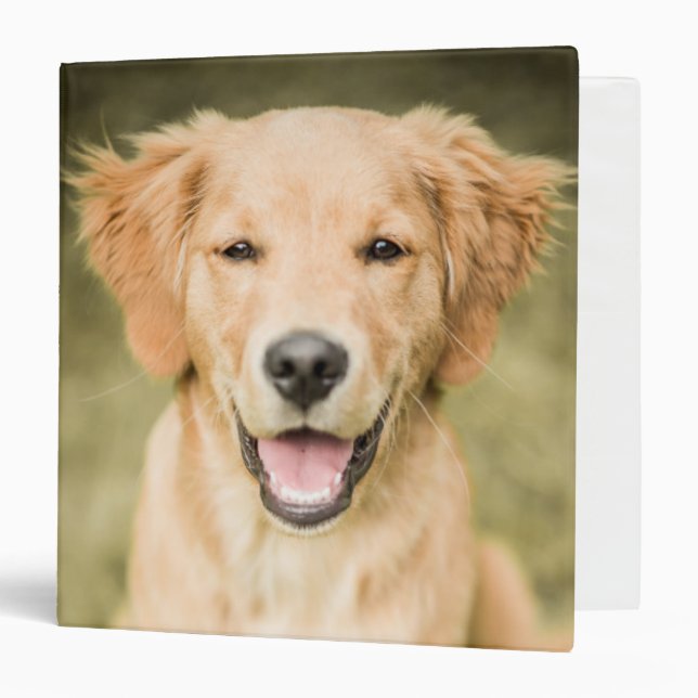A Portrait Of A Golden Retriever Puppy Binder (Front/Inside)