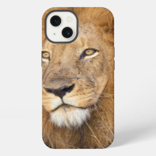 A portrait of a Lion looking into the distance iPhone 13 Case