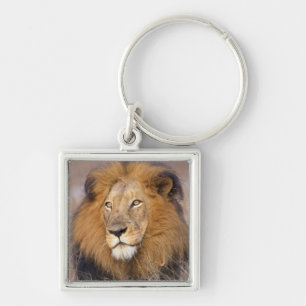 A portrait of a Lion looking into the distance Keychain