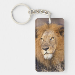 A portrait of a Lion looking into the distance Keychain